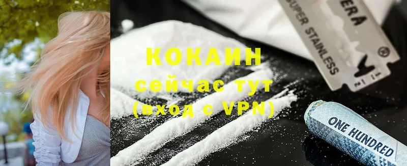 Cocaine Fish Scale Большой Камень